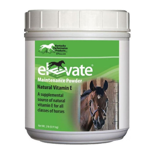 Elevate Maintenance Powder 2Lbs.