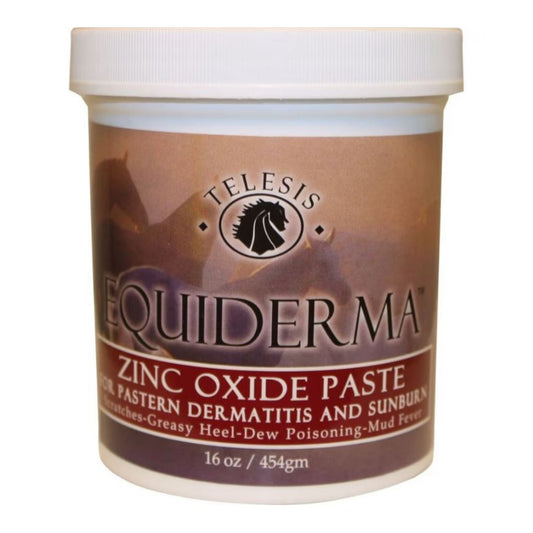 Equiderma Zinc Oxide Paste For Dermatitis & Sunbrn 16oz.