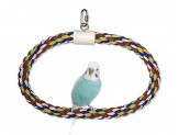 JW Pet Swing N Perch Ring Multi-Color 1ea/SM