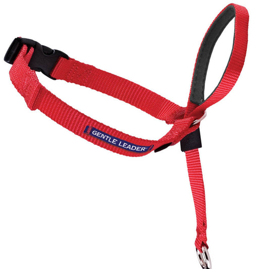 PetSafe Headcollar No-Pull Dog Collar Red 1ea/SM