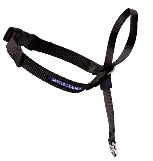 PetSafe Headcollar No-Pull Dog Collar Black 1ea/LG