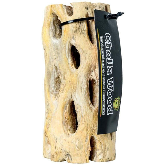 Galapagos Cactus Skeleton Cholla Wood Brown 1ea/36 in