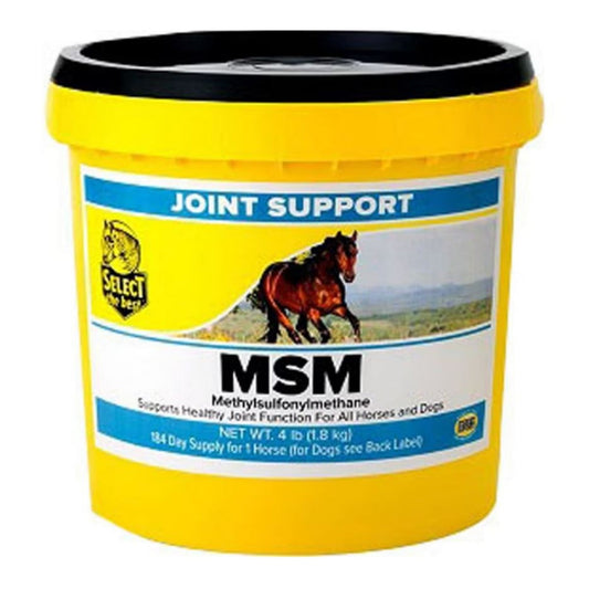 Msm Powder Joint Support 4Lbs.